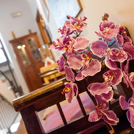 Guest house Valentina 4*