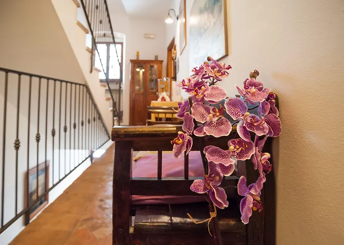 Valentina オルヴィエート